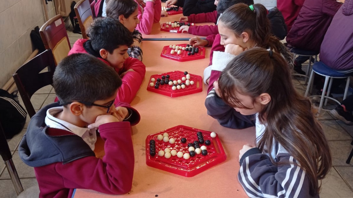 Türkiye Akıl ve Zeka Oyunları Pentago ve Abolone Okul Turnuvası